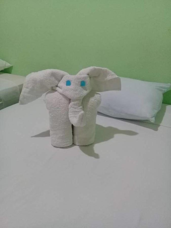 Hotel Rey De Reyes Managua Dış mekan fotoğraf